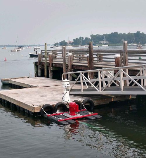 2-Oyster-Bay
